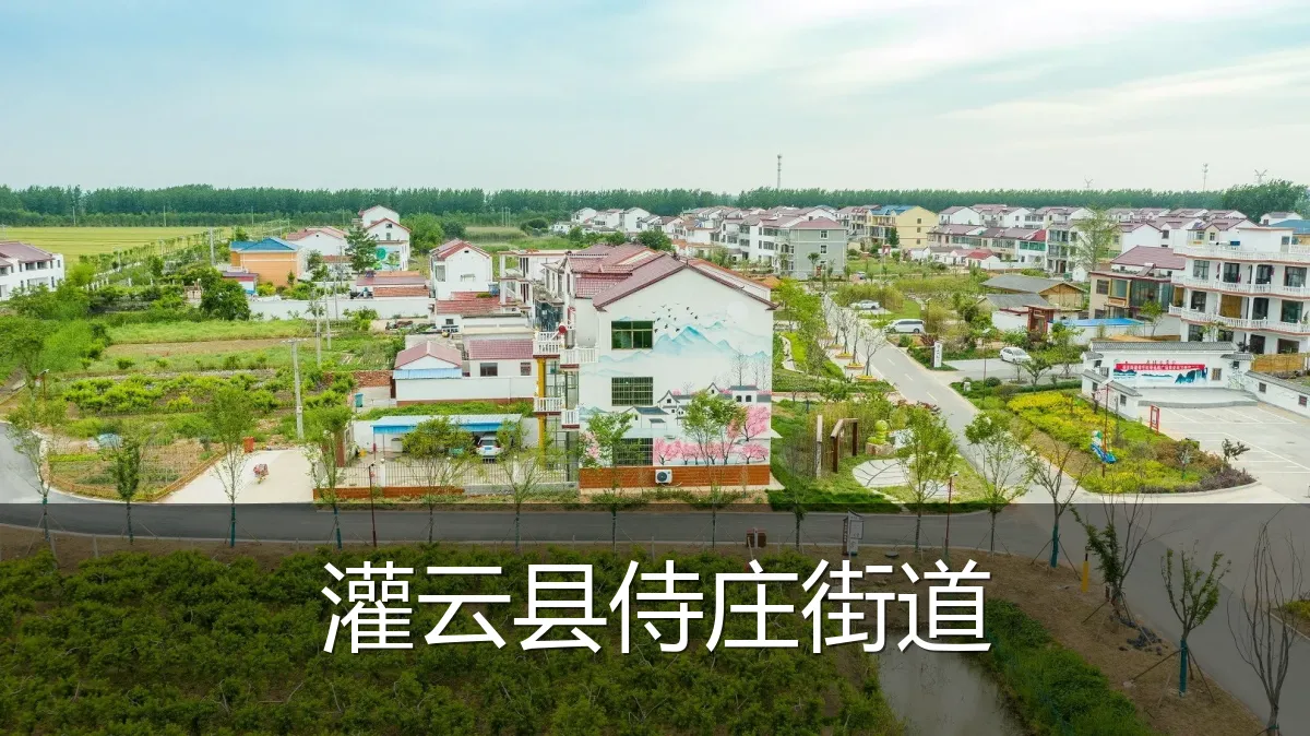 灌云县侍庄街道