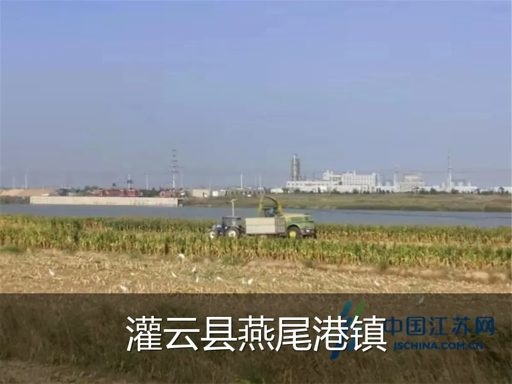 灌云县燕尾港镇