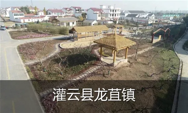 灌云县龙苴镇